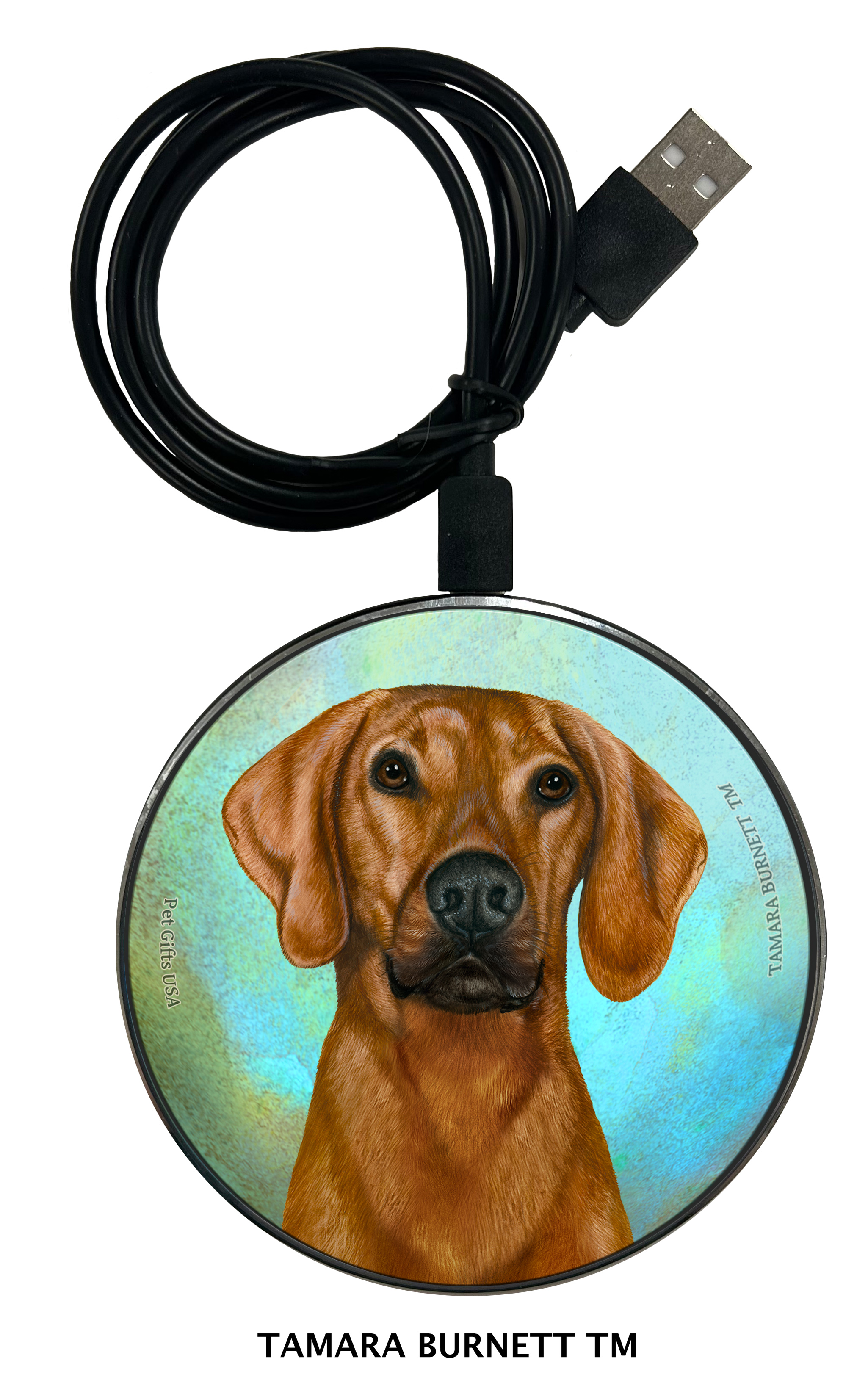 Zoomies Chargers sample image